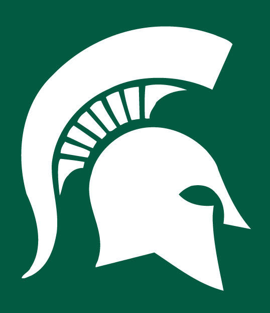 Michigan State Spartans 1977-Pres Alternate Logo iron on transfers for fabric